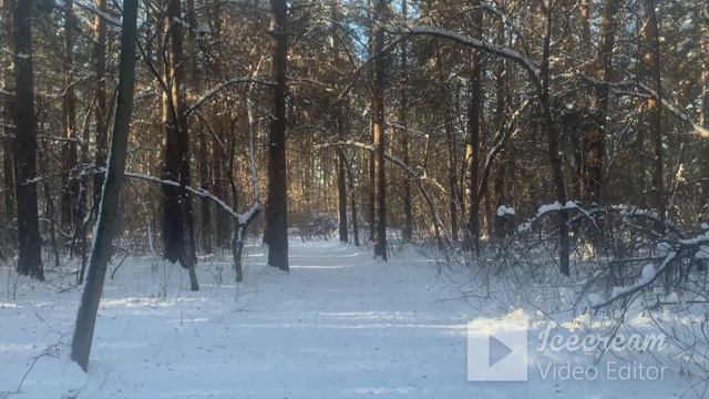 Как удерживать в жизни баланс. Оставаться при этом шикарной и работать. Часть 2