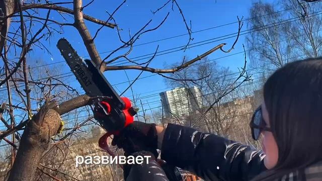 Пила цепная аккумуляторная BCHS20-4NMBL в работе