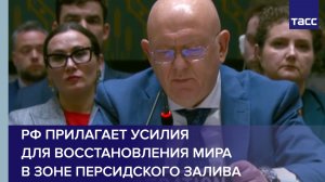 Небензя: РФ прилагает усилия для восстановления мира в зоне Персидского залива