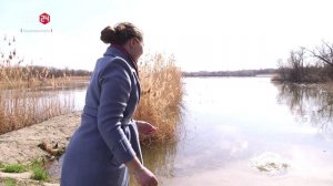 Заготовка Рыбца