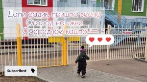 Дали садик, пришла весна🪻Огород на окне🌱Очередное кашпо🧺