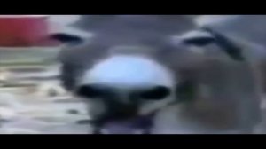 Ахахвхахахахаха.mp4