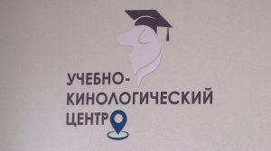 Рязанские студенты адаптируют бездомных собак к жизни в городе