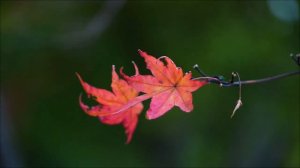 Никогда не делайте это 8 апреля. Как один день закроет все пути.