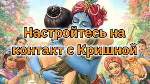 Путь во Вриндаван.