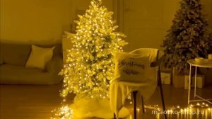 Светодиодная гирлянда Koopman Snake Comfort Basic 24 м, AX8560550