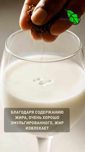 3 дня и готово: укроп для ленивых. Секрет быстрых всходов укропа, петрушки, моркови и сельдерея.