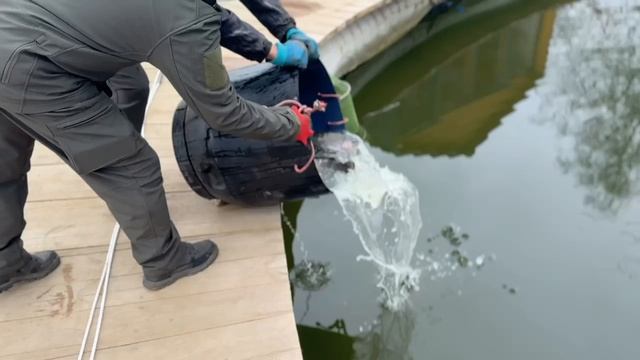 Запуск 08.04.26