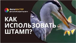 Как использовать штамп?