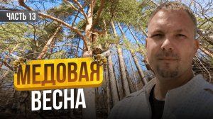 Сбежал с офиса на пасеку! Что из этого вышло? Строю пасеку с нуля | Серия 13