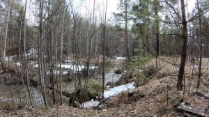 Весенняя река. 4К