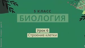 Строение клетки