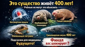 Это существо живёт 400 лет! Учёные не могут это объяснить