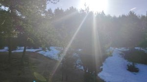 Самый верный раб. Кто он?