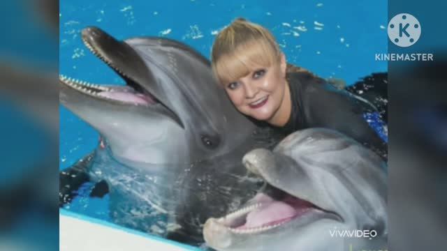 КРАСИВАЯ МУЗЫКА НА ВЕЧЕР. ОТДОХНИТЕ С МУЗЫКОЙ ПОЛЯ МОРИА