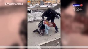 Борьба противоположностей: полиция Серова заинтересовалась видео с уличной дракой