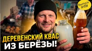 Как сделать квас из берёзового сока. Простые радости деревенских будней.
