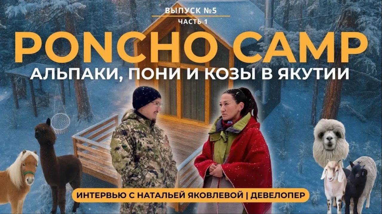 АЛЬПАКИ В ЯКУТИИ PONCHO CAMP — интервью с Натальей Яковлевой | ДЕВЕЛОПЕР
