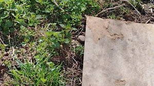 Я вернулся!