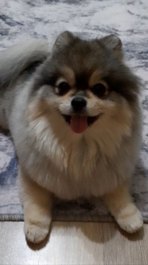 А кто у нас стесняется позировать на камеру.....