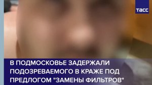 В Подмосковье задержали подозреваемого в краже под предлогом "замены фильтров"