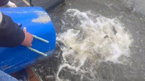 copy_26FCF209-772E-4108-8C11-54EDF7D72598