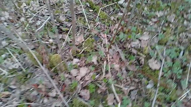 С открытием грибного сезона 👍😃🚩