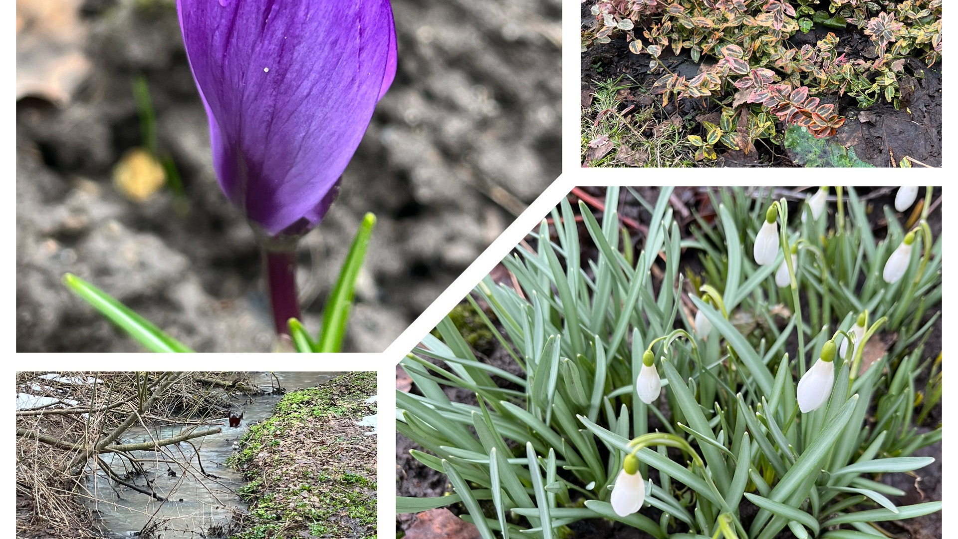 Весна преподносит сюрпризы! Обход!