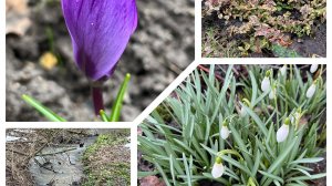 Весна преподносит сюрпризы! Обход!