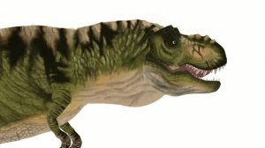 булл ти рекс тест /рисуем мультфильмы 2