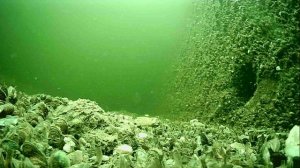 1000014599.mp4Волга гл.5.08.04.2026г.