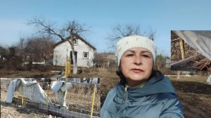 Виноград. Новое укрытие, как сохранился виноград.