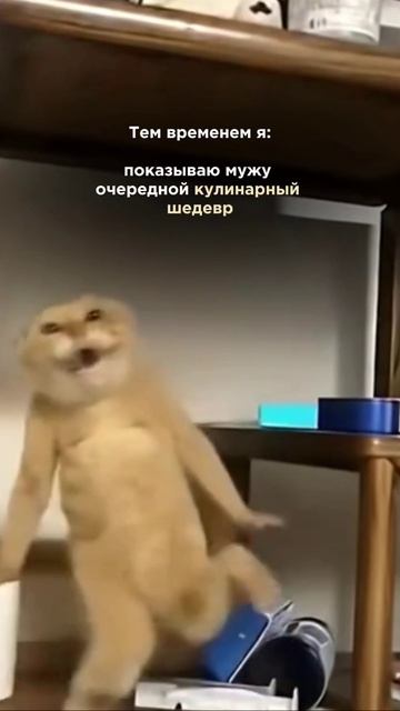 Девочки, жиза…