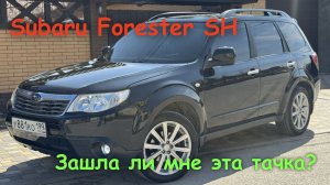 Subaru Forester SH. Зашла ли мне эта тачка?
