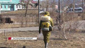 "Осторожно, клещи!": в Бурятии стартовал сезон обработки территорий