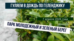 Гуляем по Геленджику в дождь, Парк Молодежный и Зеленый берег, 7 апреля 2026 года