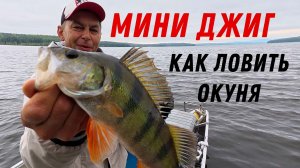 Как ловить на мини джиг. Простая снасть на окуня.