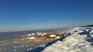 История зимы//Февраль-2026