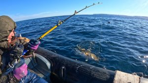 НАЛОВИЛИ ТРЕСКИ ВПРОК — ХВАТИТ НА ВЕСЬ ГОД!