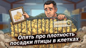 Плотность посадки птицы
