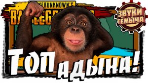 PUBG / Бегу туда - не зная куда🥸