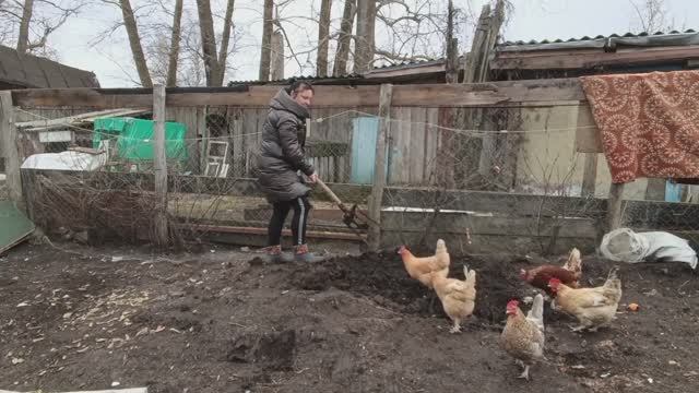 БЫСТРО СООБРАЗИЛИ НАШЕ ЦАРСТВО