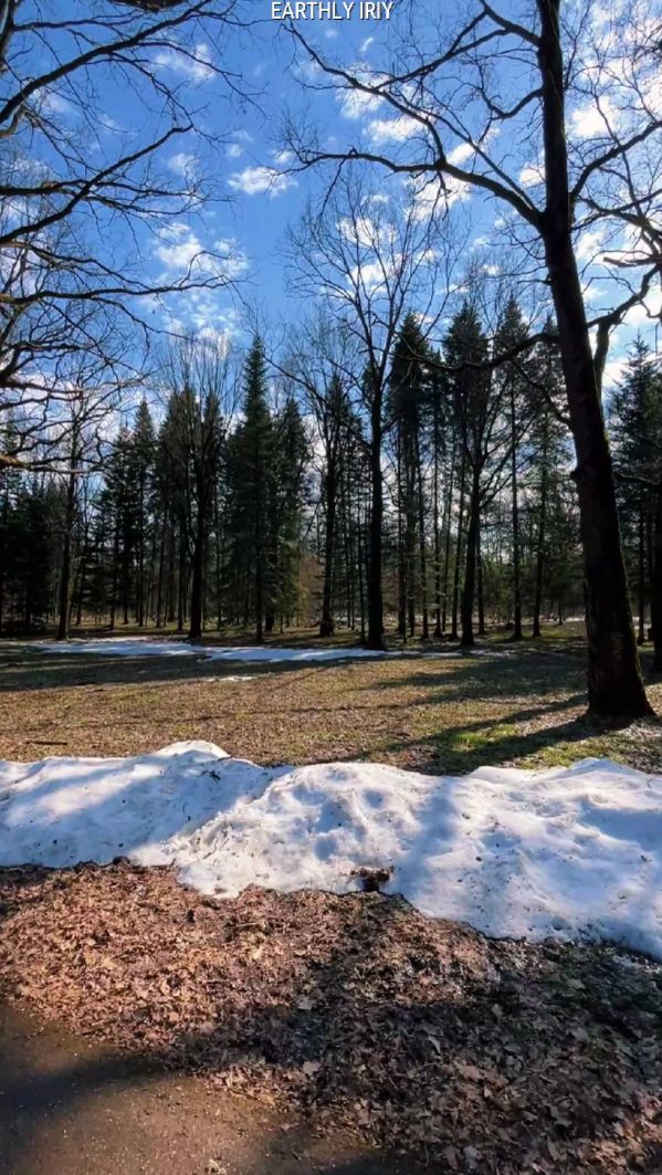 Привет, весна! #земнойирий #весна #природа #вднх #ботаническийсад