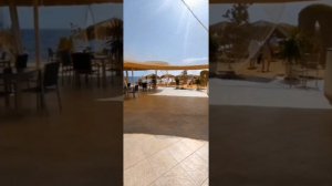 Amphoras Aqua  4* Шарм эль шейх.mp4