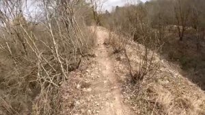 Путилово. Круг по серебру