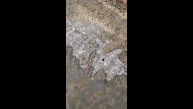 Не стоит бояться всех трещин на бетоне