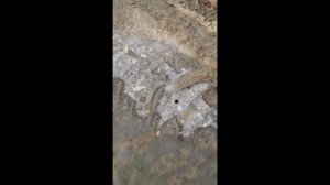 Не стоит бояться всех трещин на бетоне