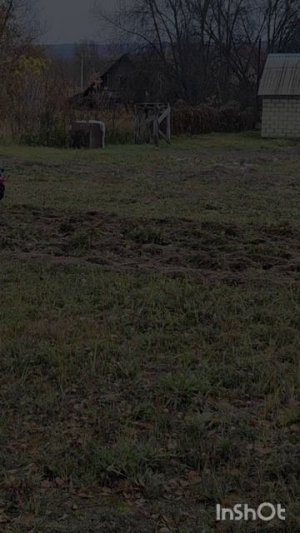 Осенняя пахота. Мотоблок Агат пашет плугом.