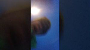 первый раз пробую с камерой на самокате!