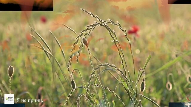 ПРЕМЬЕРА ПЕСНИ 